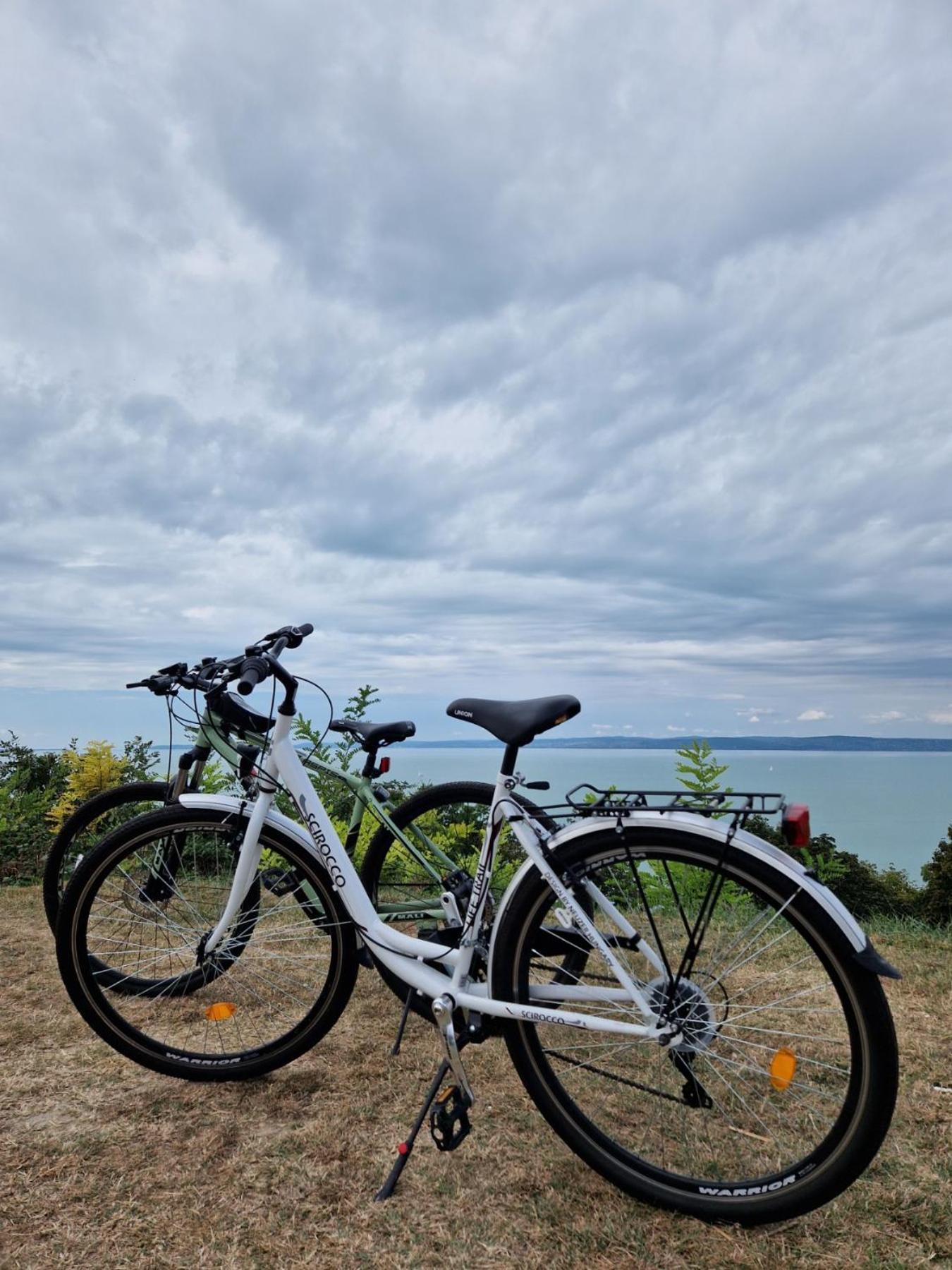 Panoramic Apartments Balatonvilágos Dış mekan fotoğraf