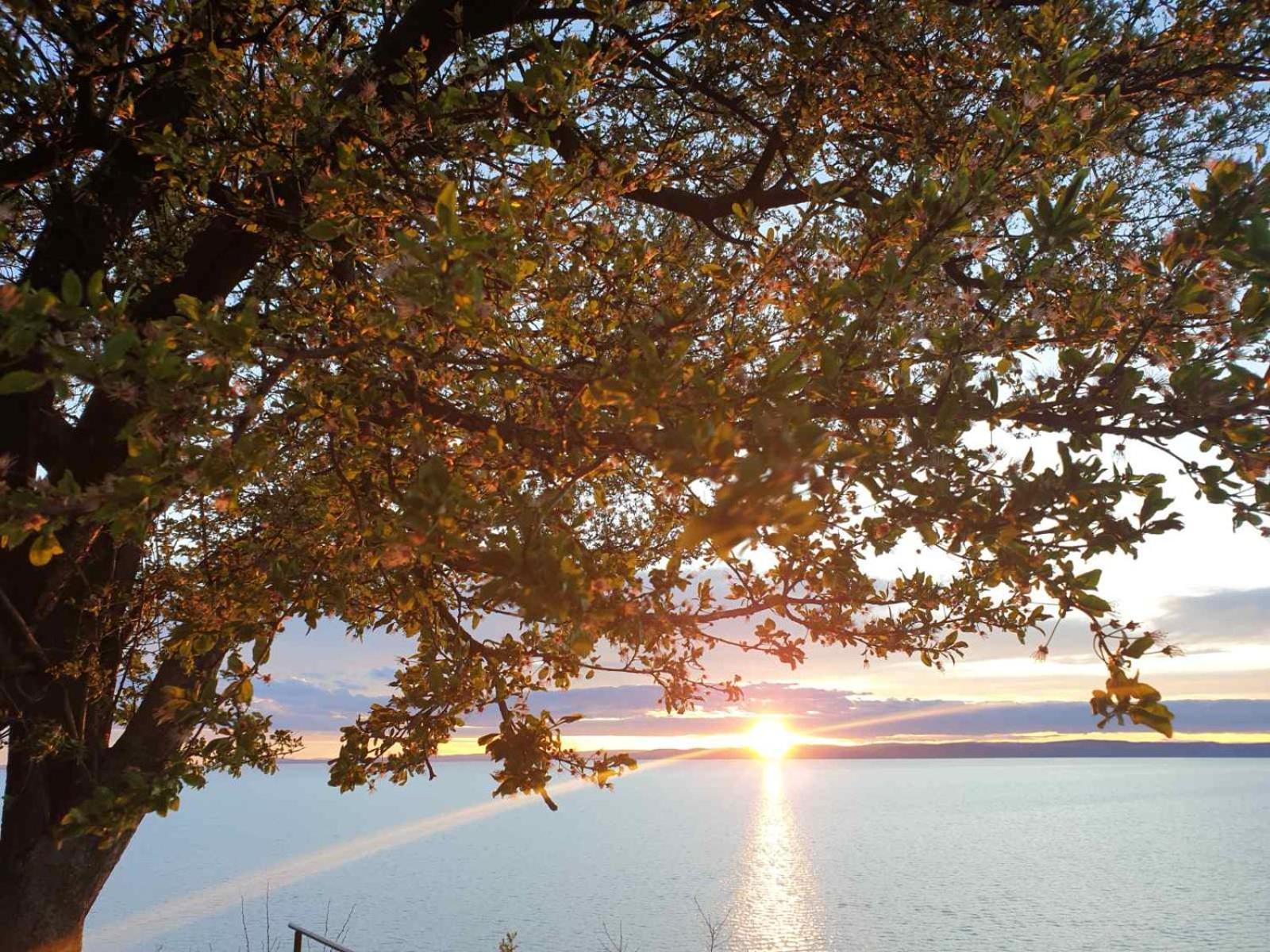 Panoramic Apartments Balatonvilágos Dış mekan fotoğraf