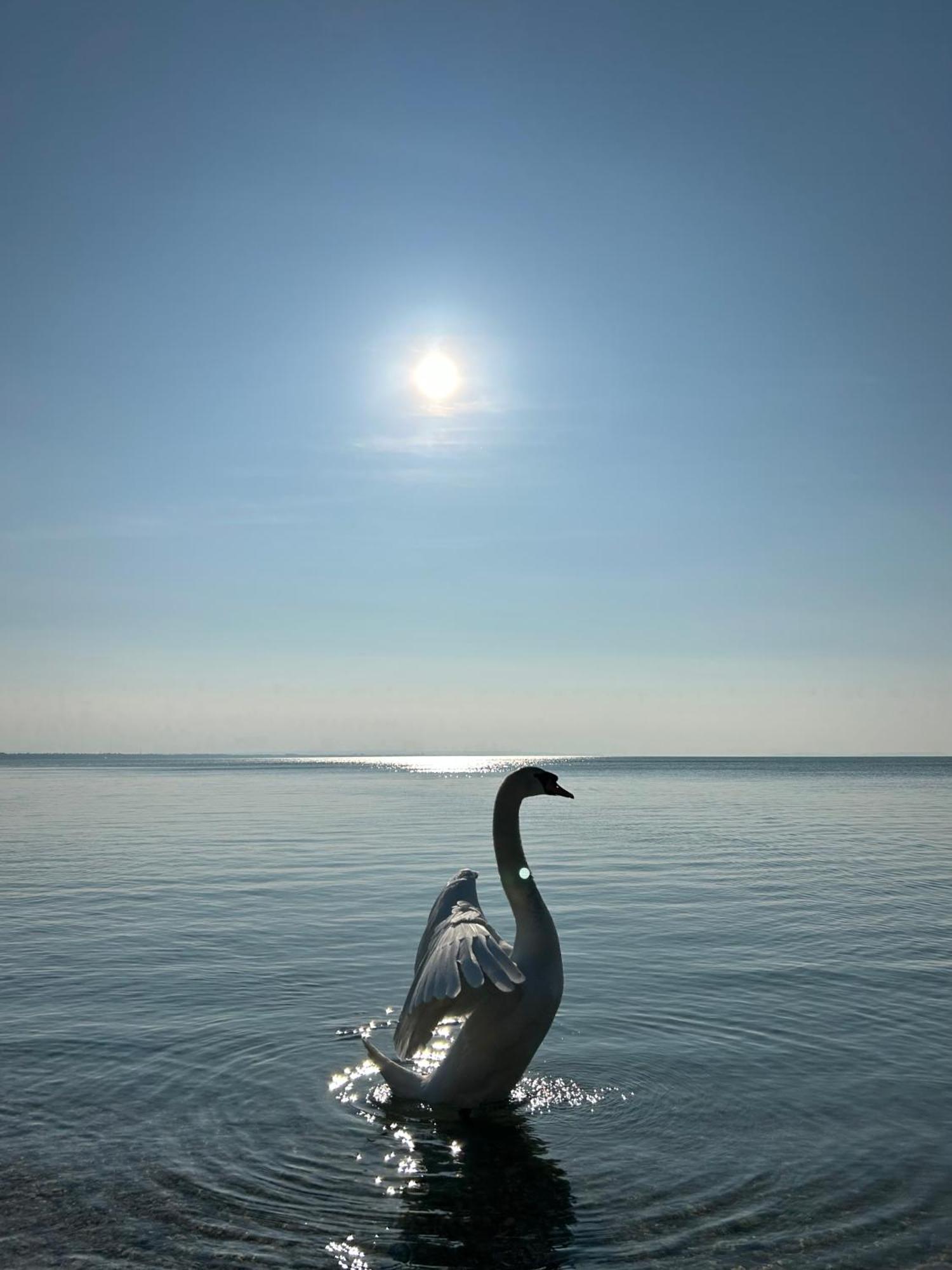 Panoramic Apartments Balatonvilágos Dış mekan fotoğraf